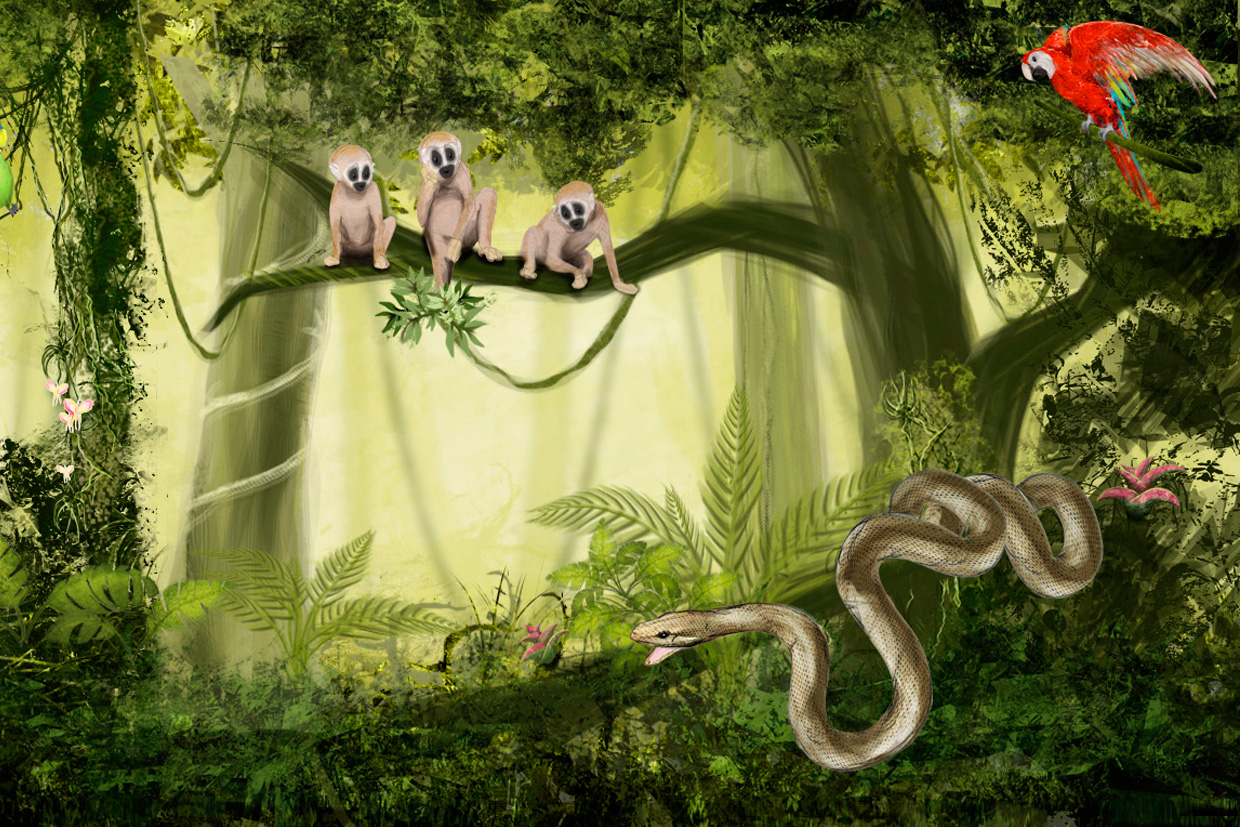 Selvatica Illustration Dschungel