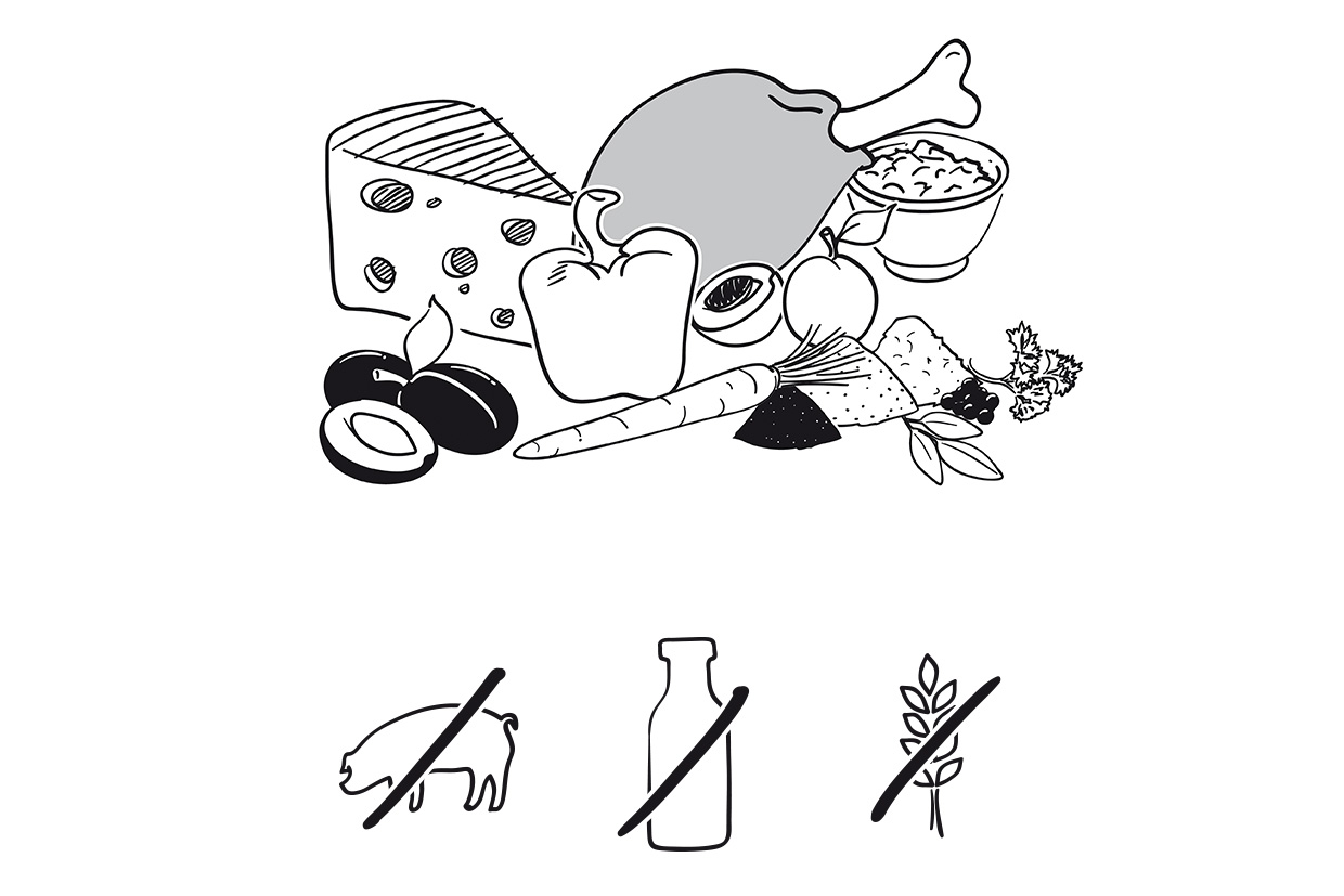 Illustration - Njushi