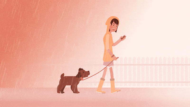 Motion explainer characteranimation dog